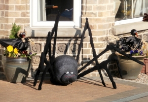 A 'Yarn bombing'  Spider!!